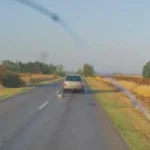 Fotó: Képernyőkép / Szurkolók az Állatokért Alapítvány Facebook-oldala