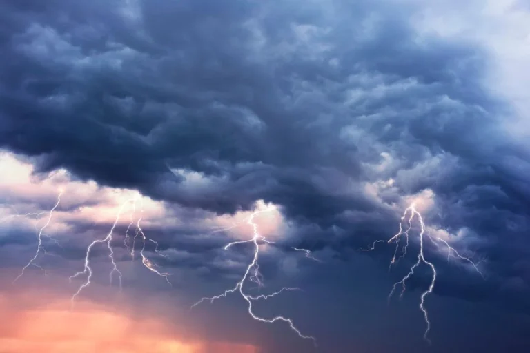 Fotó: Shutterstock|Fotó: Wolf Géza