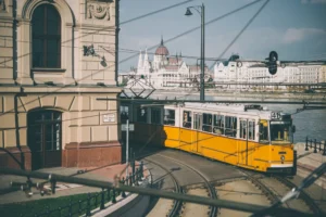 Illusztráció / Fotó: Shutterstock