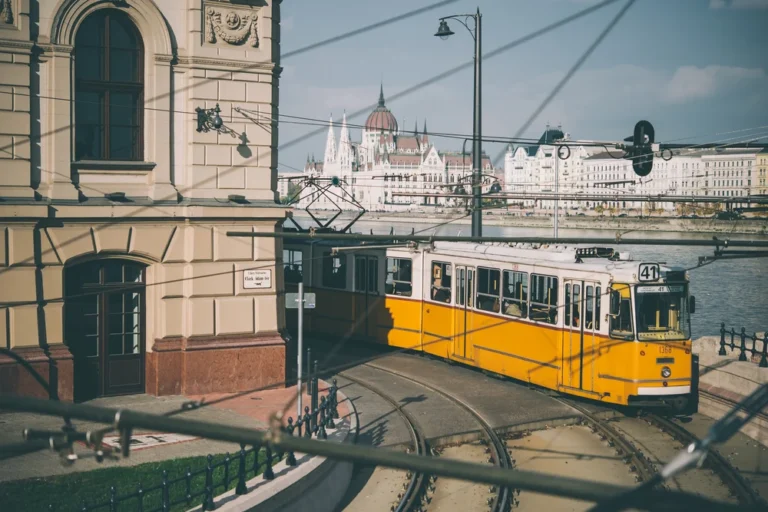 Illusztráció / Fotó: Shutterstock