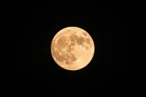 Illusztáció / Fotó: Shutterstock