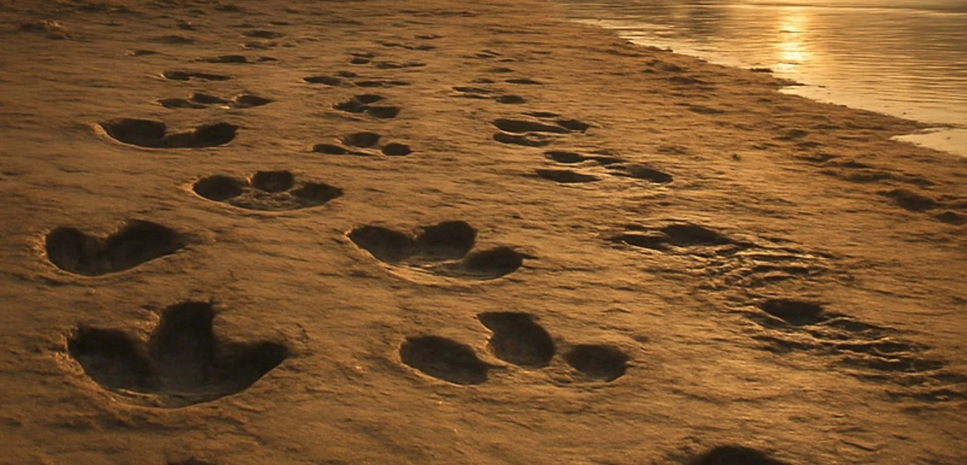 Illusztráció / Fotó: Shutterstock