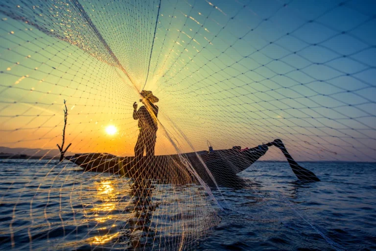 Illusztráció / Fotó: Shutterstock