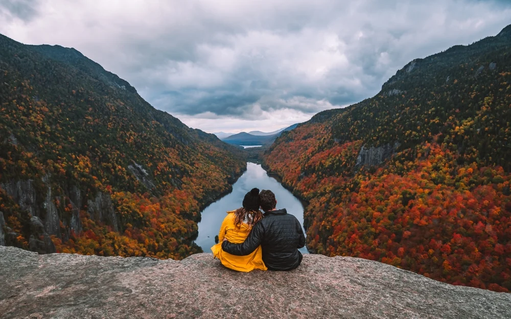 Illusztáció / Fotó: Shutterstock