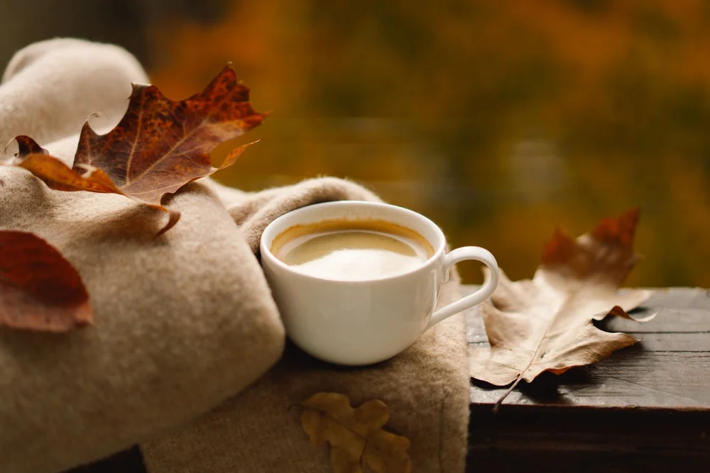 Illusztráció / Fotó: Shutterstock