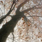 Illusztráció / Fotó: Unsplash