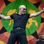 Pitbull / Fotó: Shutterstock