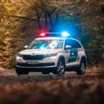 Illusztráció / Fotó: Magyar Rendőrség