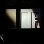 Illusztráció / Fotó: Shutterstock