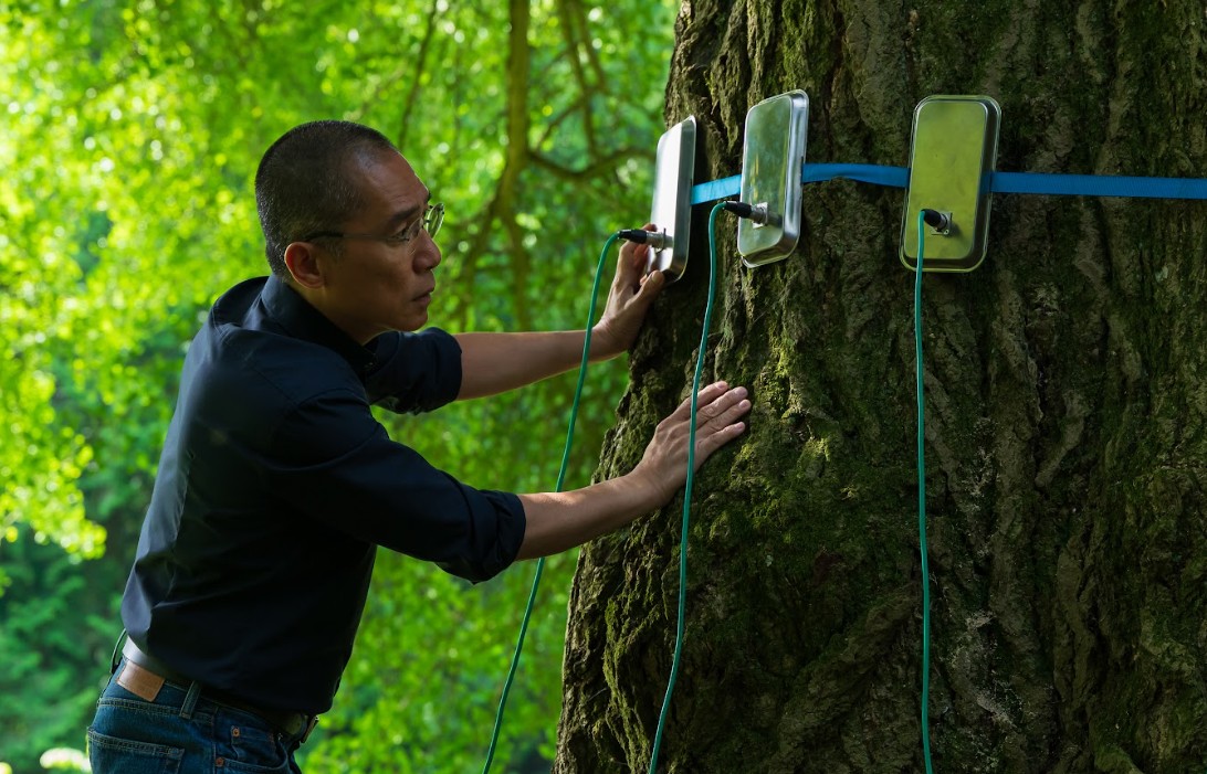Jelenet a Csendes barát című filmből