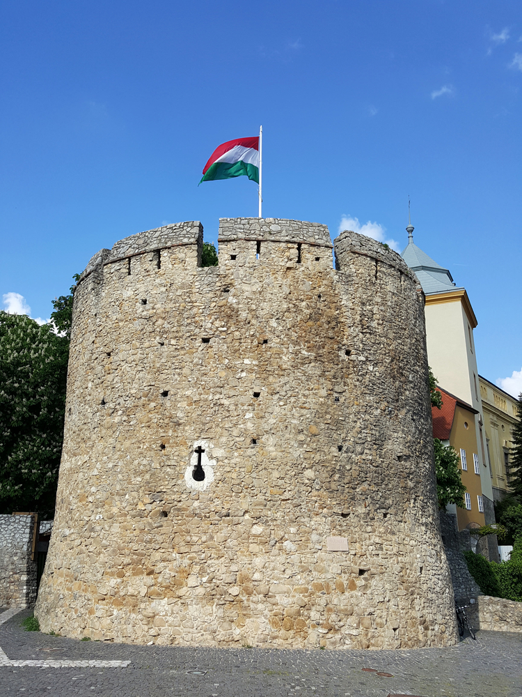 Illusztráció / Fotó: Shutterstock