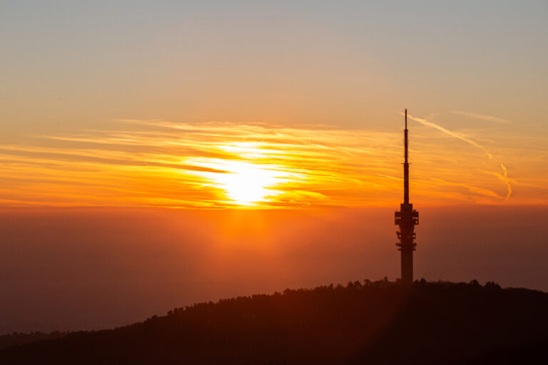 Illusztráció / Fotó: Shutterstock