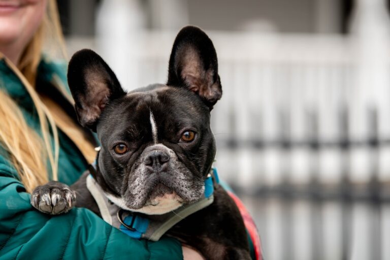 Illusztráció / Fotó: Shutterstock