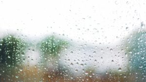 Illusztráció / Fotó: Shutterstock