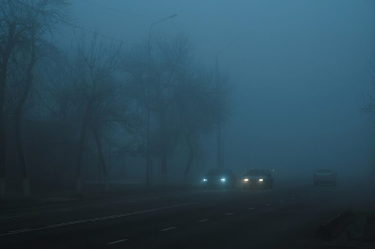 Illusztráció / Fotó: Shutterstock