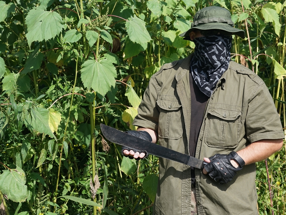 Illusztráció / Fotó: Shutterstock