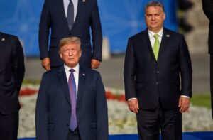 Illusztráció / Fotó: Shutterstock