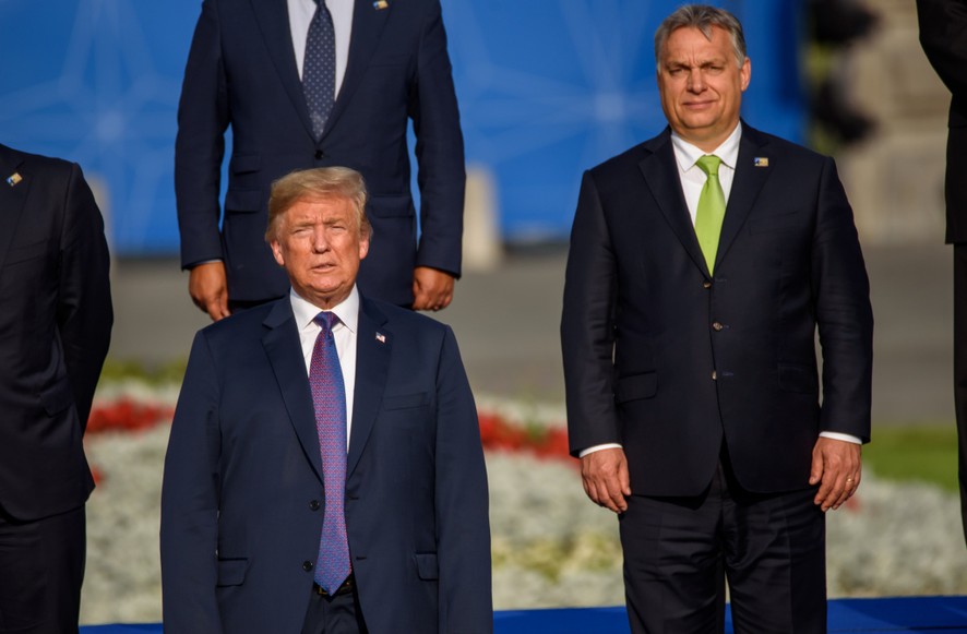 Illusztráció / Fotó: Shutterstock