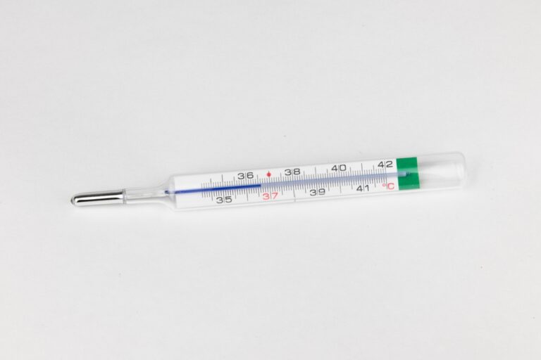 Illusztráció / Fotó: Shutterstock