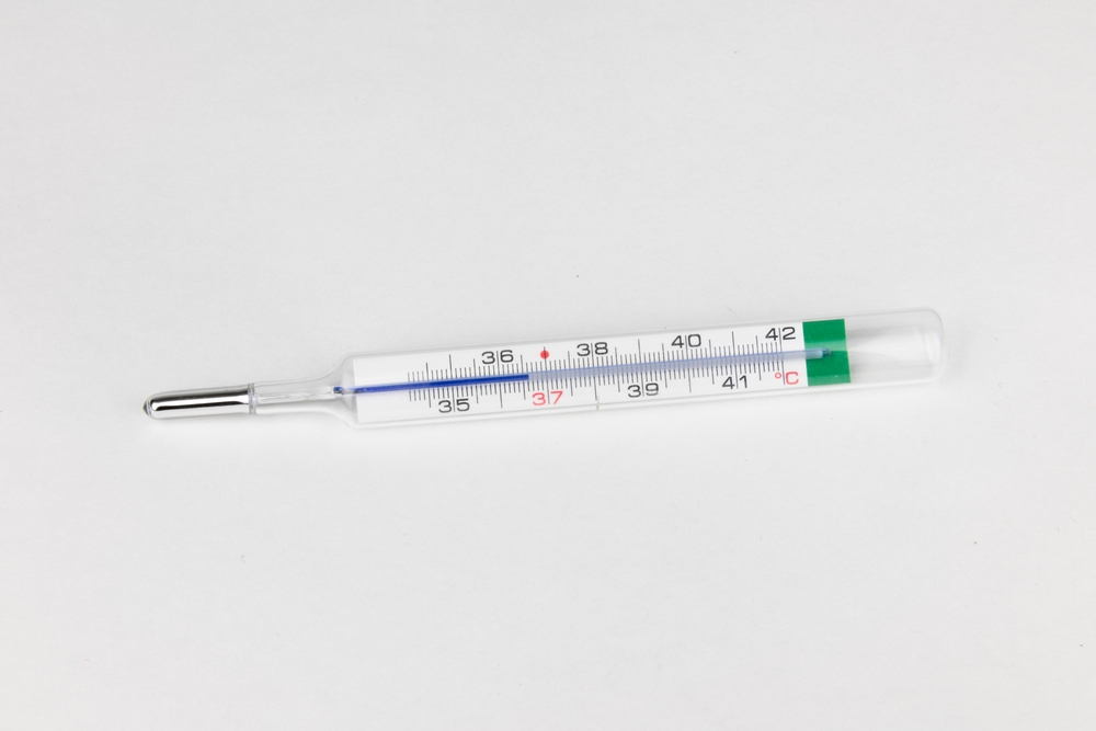 Illusztráció / Fotó: Shutterstock