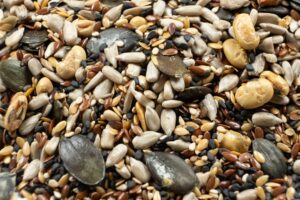 Illusztráció / Fotó: Shutterstock