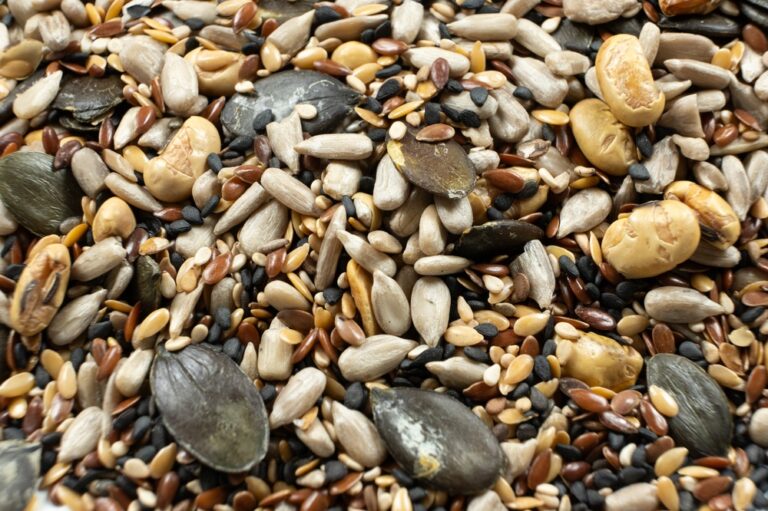 Illusztráció / Fotó: Shutterstock