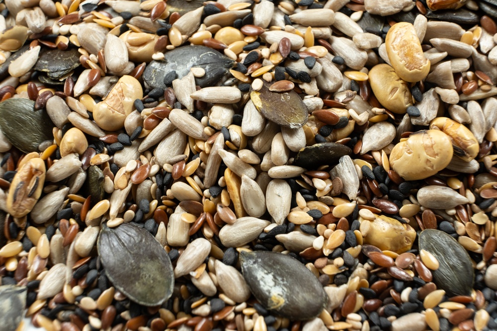 Illusztráció / Fotó: Shutterstock