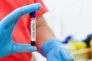 Illusztráció / Fotó: Shutterstock