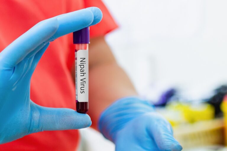 Illusztráció / Fotó: Shutterstock