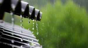 Illusztráció / Fotó: Shutterstock