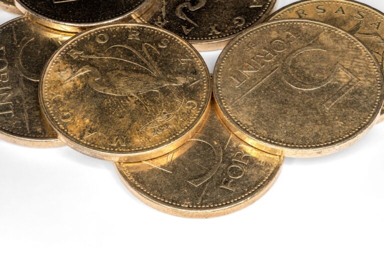 Illusztráció / Fotó: Shutterstock