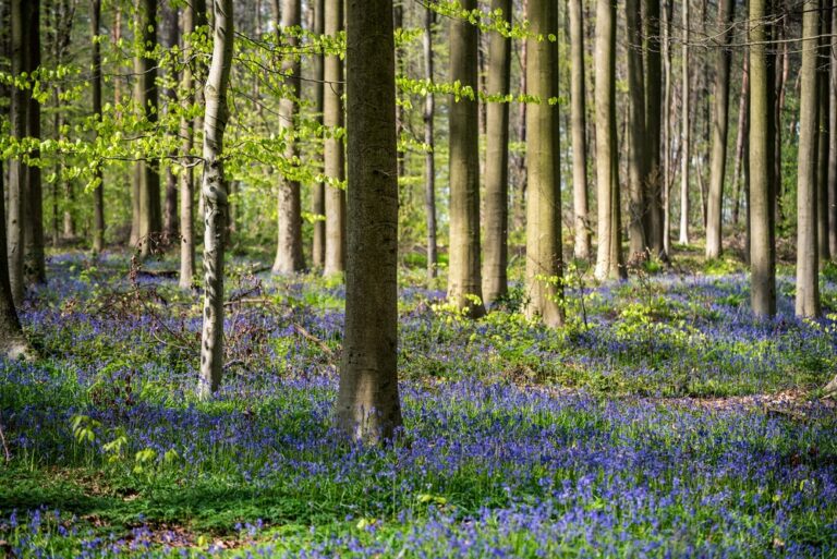 Illusztráció / Fotó: Shutterstock