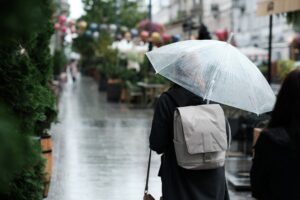 Illusztráció / Fotó: Shutterstock