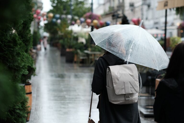 Illusztráció / Fotó: Shutterstock