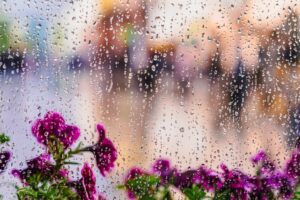 Illusztráció / Fotó: Shutterstock