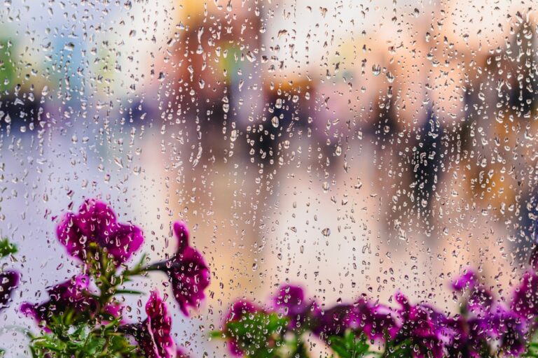 Illusztráció / Fotó: Shutterstock