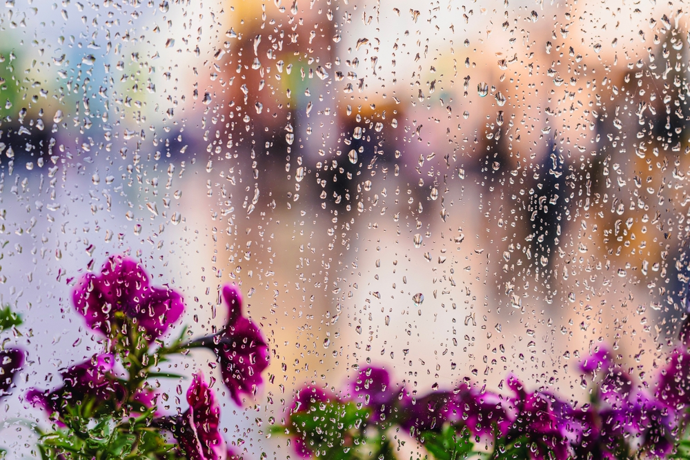 Illusztráció / Fotó: Shutterstock