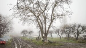 Illusztráció / Fotó: Shutterstock