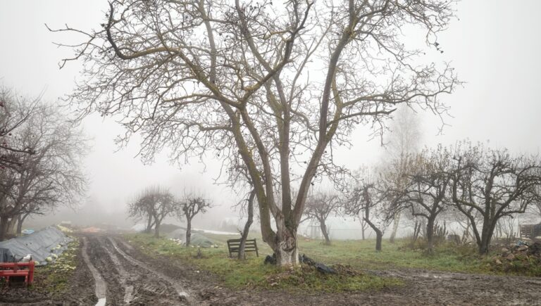 Illusztráció / Fotó: Shutterstock