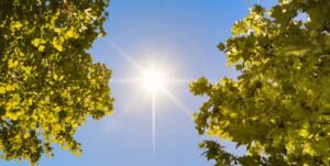 Illusztráció / Fotó: Shutterstock