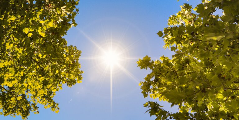 Illusztráció / Fotó: Shutterstock