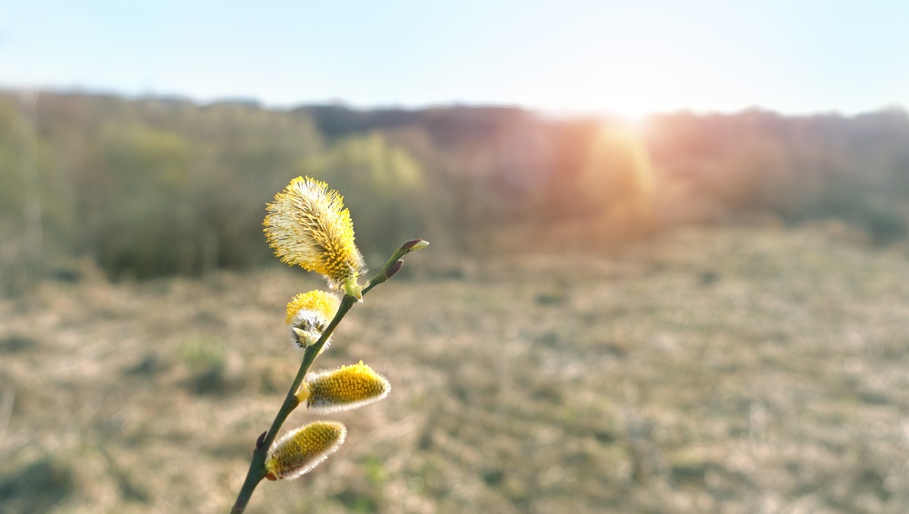 Illusztráció / Fotó: Shutterstock