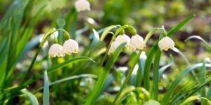 Illusztráció / Fotó: Shutterstock