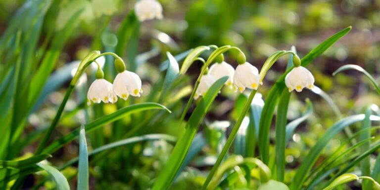 Illusztráció / Fotó: Shutterstock