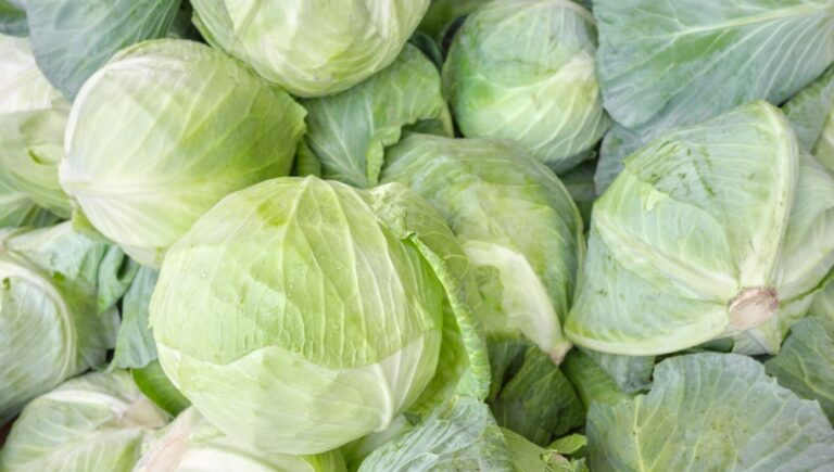 Illusztráció / Fotó: Shutterstock