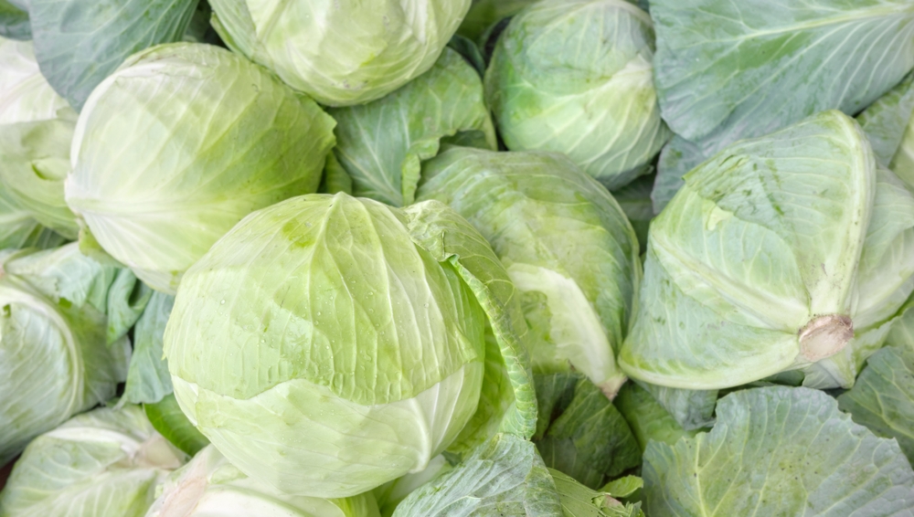 Illusztráció / Fotó: Shutterstock