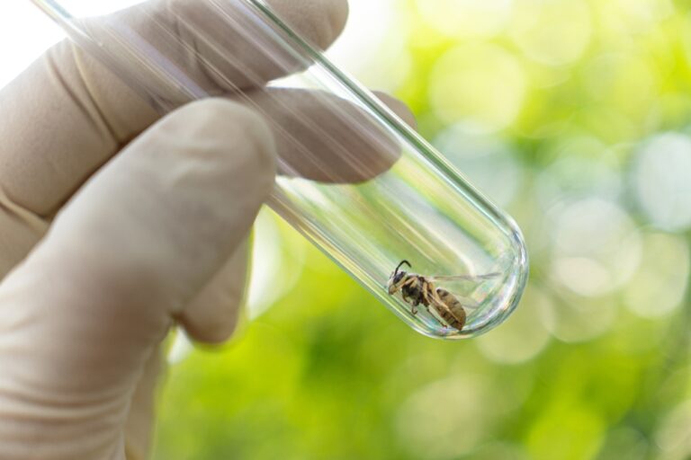 Forrás: Shutterstock