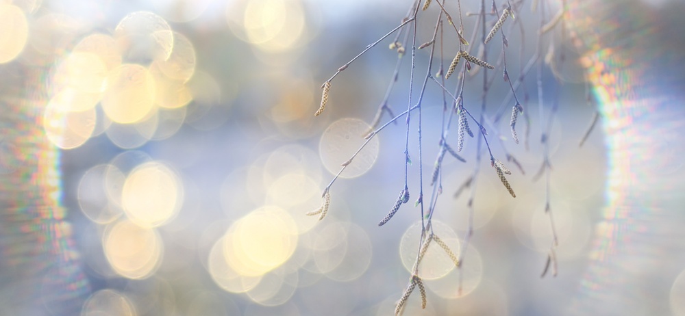 Illusztráció / Fotó: Shutterstock