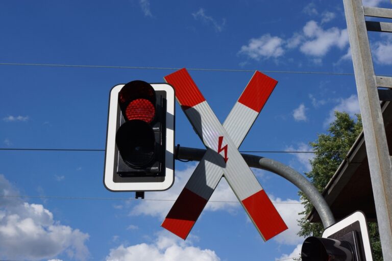 Illusztráció / Fotó: Shutterstock