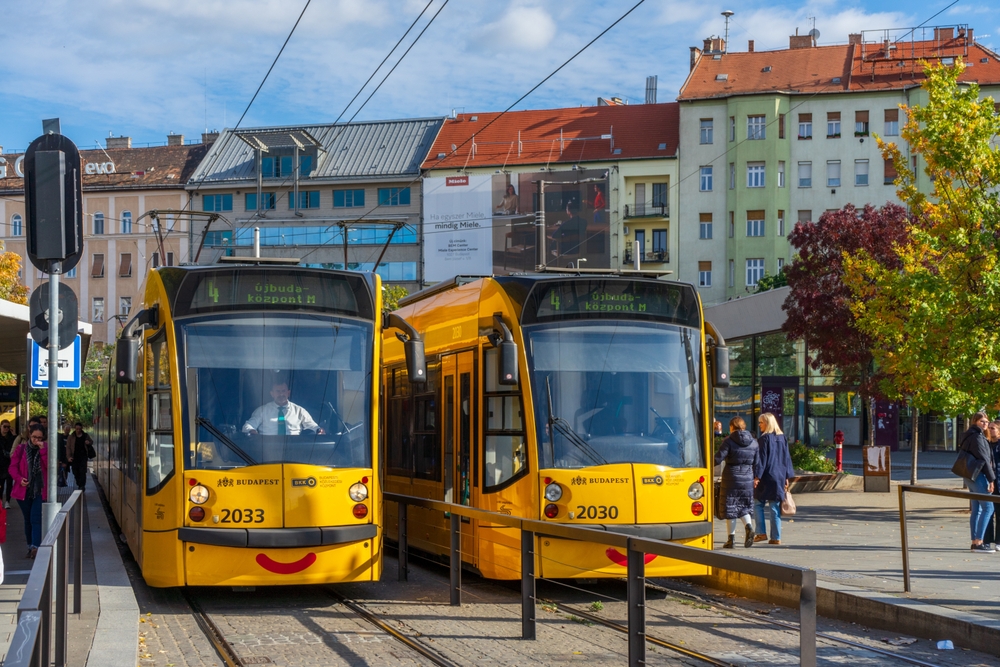 Illusztráció / Fotó: Shutterstock